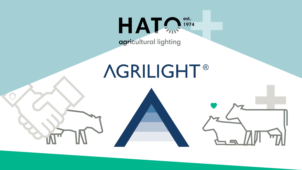 HATO acquires Agrilight activities for cattle farming
