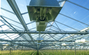 Advanced Reflector Technologies Ensure Optimum Lighting in Greenhouses