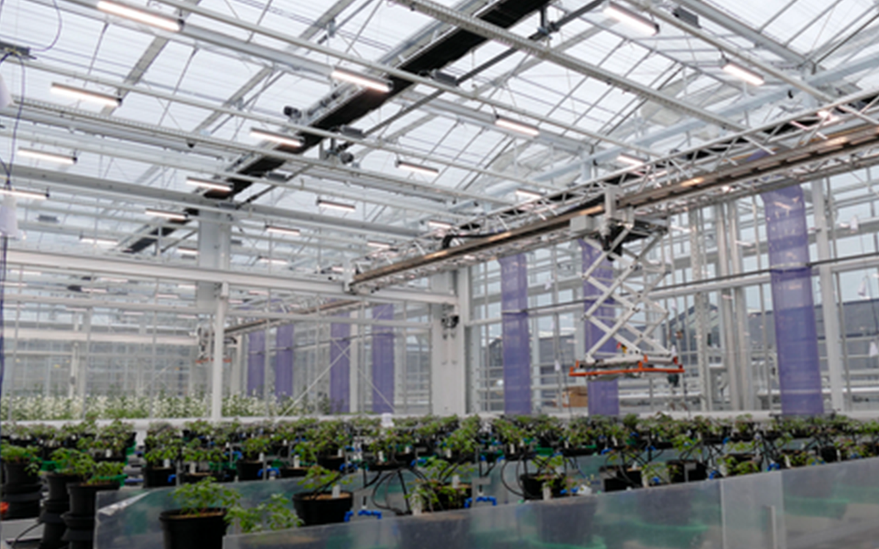 In NPEC’s state-of-the-art phenotyping greenhouse, VYPR DUO 3x2 fixtures are used to support research on genotype-phenotype associations. (Photo: Business Wire).