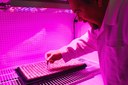 Indoor Farming Laboratory Opened Indoor Farming Laboratory Opened