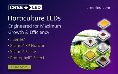 Lighting that grows with you.
