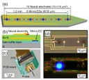 Micro LEDs for Medical Applications