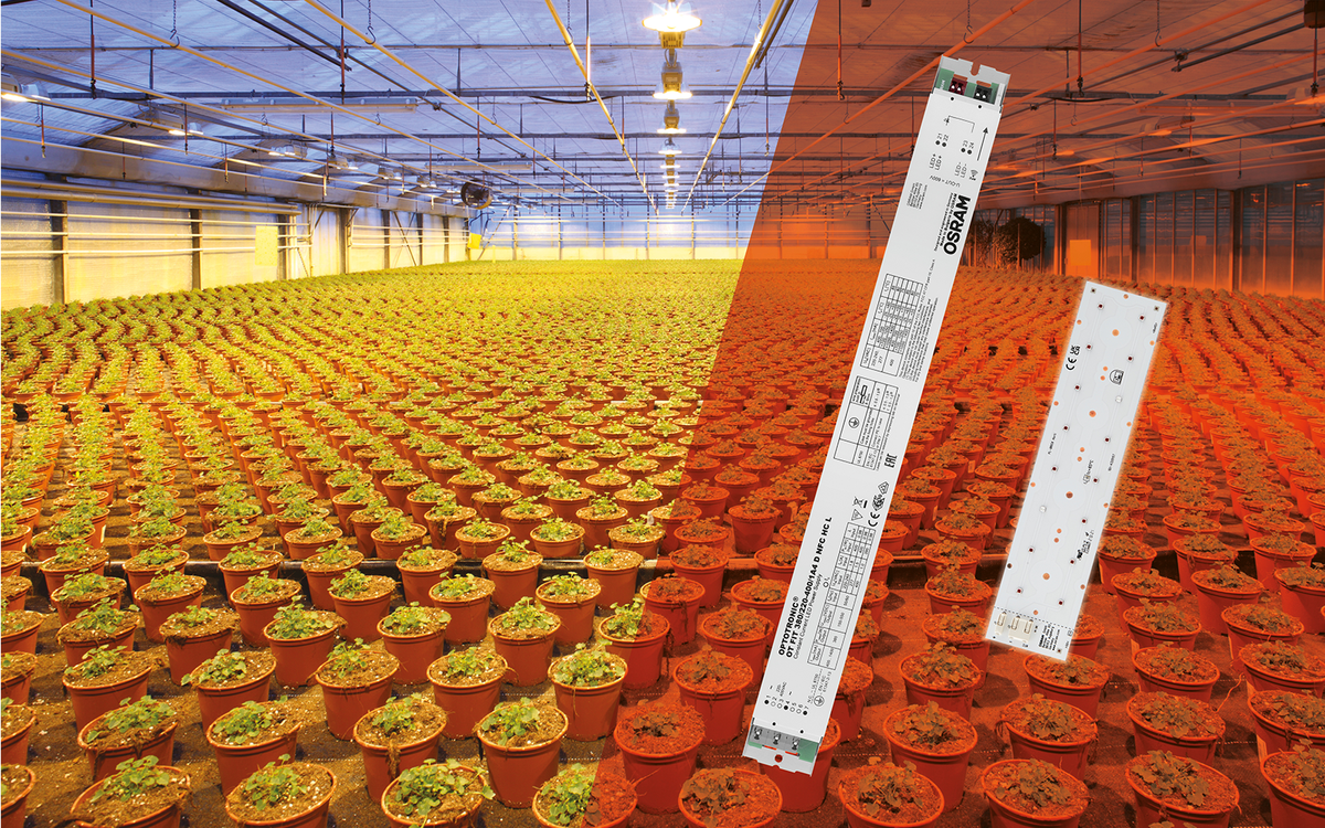 More Success for Your Horticulture Projects with OSRAM LED Technology ...