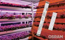 More Growth with the LED System Solutions from OSRAM DS More Growth with the LED System Solutions from OSRAM DS
