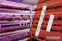 More Lighting Power for Horticulture