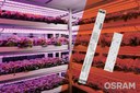 More Lighting Power for Horticulture More Lighting Power for Horticulture