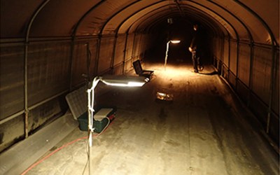 Nichia's HPS Color LEDs (1800K) Show Reduced Insect Attraction in Joint Research