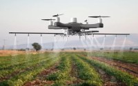 Redefining Horticulture with Light, Intelligence, and Innovation