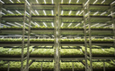 Signify to Acquire Fluence to Strengthen Agriculture Lighting Growth Platform Signify to Acquire Fluence to Strengthen Agriculture Lighting Growth Platform