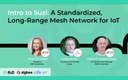Webinar | Intro to Suzi: A Standardized, Long-Range Mesh Network for IoT
