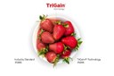 Nichia Corporation Becomes First to License TriGain® Technology from GE Current, a Daintree Company Nichia Corporation Becomes First to License TriGain® Technology from GE Current, a Daintree Company
