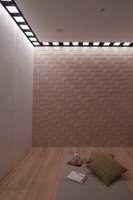 OLED Application