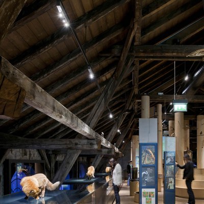 The minimalist LED spots of Zumtobel’s Supersystem lighting system blend unobtrusively into the exhibition areas of the Nature Museum. As a current conducting section was already in place, the previously used conventional spotlights could be easily replaced by the new LED solution