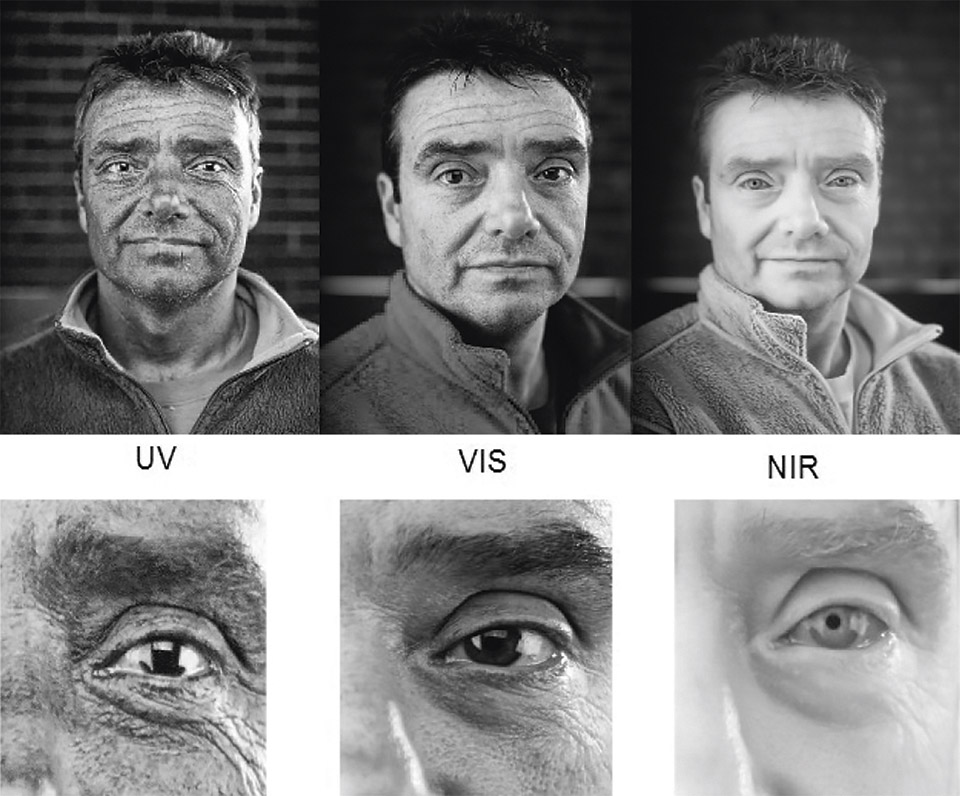 Figure 3: The UV, VIS, NIR pictures show the differences in eye absorption. 