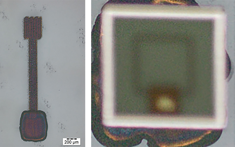 Figures 4: Printed contact pad and interconnect