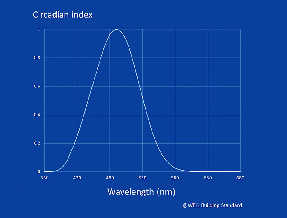 Figure 2: Circadian index