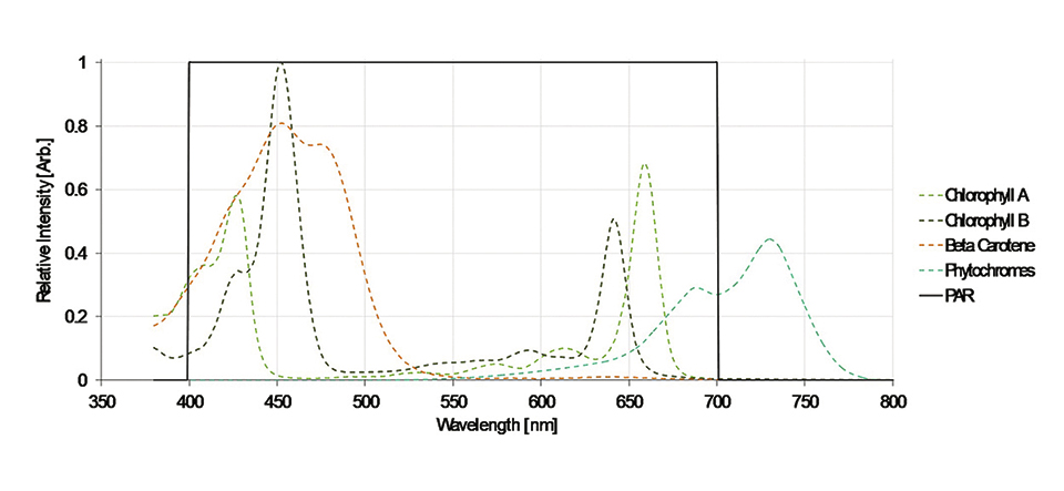 Figure 1: Characteristic absorption spectra of different pigments used for photosynthesis [1]
