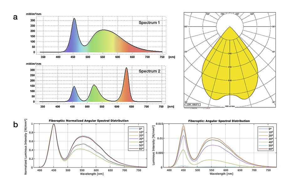Figures 2a&b: Examples of the LED-light sources properties measured at the fiber cable end. (a) Spectrum 1 shows a typical phosphorconverted white LED with a CCT=5600 K whereas Spectrum 2 is an RGB system. Angular distribution curve of the light output, showing a maximum aperture/ cut off angle of ±36°. (b) The graphs show the angular dependent spectral properties of Spectrum 1