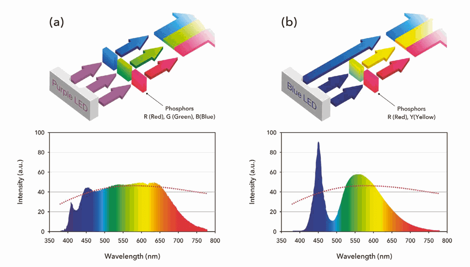 Figure3.png