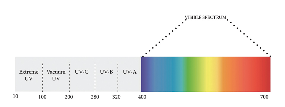 Figure 1: UV and visible light spectrum with UV classifications