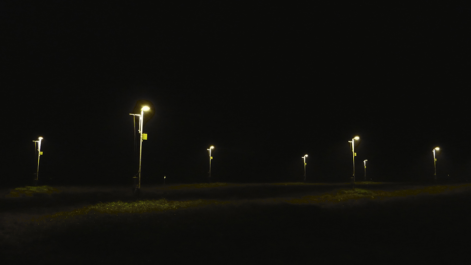 Figure 4: Experimental field to study effects of artificial light at night in a rural setting in Westhavelland (Brandenburg), Germany