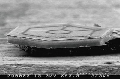 Verticle SEM Image of Separated Honeycomb™ Chip.