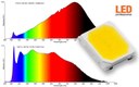 euroLighting's New LED Series with Broadband Light Spectrum up to 1000 nm euroLighting's New LED Series with Broadband Light Spectrum up to 1000 nm