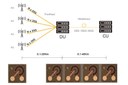 Mass Production of Seoul Viosys' 25Gbps VCSELs - a Game Changer in 5G Communication Applications Mass Production of Seoul Viosys' 25Gbps VCSELs - a Game Changer in 5G Communication Applications