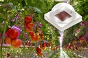 Osram Presents Most Efficient New Generation Oslon Square Hyper Red Osram Presents Most Efficient New Generation Oslon Square Hyper Red