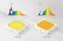 Samsung Electronics Unveils Its First Family of Human-Centric LEDs to Enhance Indoor Lifestyles Samsung Electronics Unveils Its First Family of Human-Centric LEDs to Enhance Indoor Lifestyles