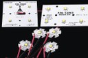 Adura LED Solutions Introduces New Nichia 229 LED Based Modules