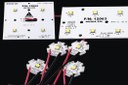 Adura LED Solutions Introduces New Nichia 229 LED Based Modules Adura LED Solutions Introduces New Nichia 229 LED Based Modules