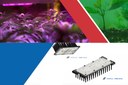 Adura LED Solutions Launches New Horticulture LED Modules Using Cree's HE LEDs Adura LED Solutions Launches New Horticulture LED Modules Using Cree's HE LEDs