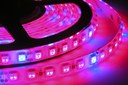 PROLITE GROUP Introduces a Flexible LED Light Tape for Professional Greenhouse Application