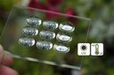 LUXeXceL’s Printed Optics Are Now also Available for Outdoor Applications LUXeXceL’s Printed Optics Are Now also Available for Outdoor Applications