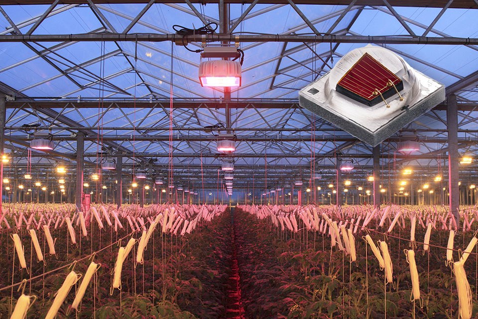 Cree grow led hotsell