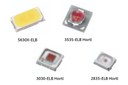 Everlight Introduces High-efficiency and Horticulture Lighting Products Everlight Introduces High-efficiency and Horticulture Lighting Products
