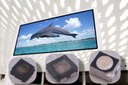 New Cree C1010 LEDs for High Definition Indoor Video Screens New Cree C1010 LEDs for High Definition Indoor Video Screens