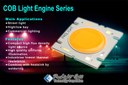 Prolight Opto COB Light Engine (Chip On Board) Series