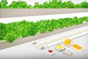 Samsung Electronics Expands Horticulture LED Lineups