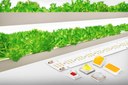 Samsung Electronics Expands Horticulture LED Lineups Samsung Electronics Expands Horticulture LED Lineups