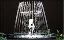 MULTIFORM Creates a Fountain of Magic MULTIFORM Creates a Fountain of Magic