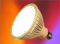 Eco-friendly, Energy-Efficient PAR38 LED Frosted Floodlight Bulb