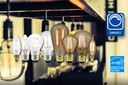 Green Creative Launches Full Line of Filament LED Lamps