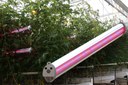 Plessey Launches New Hyperion Inter Light To Complement Existing Top Lighting in Greenhouses Plessey Launches New Hyperion Inter Light To Complement Existing Top Lighting in Greenhouses