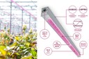 Signify Launches New Philips GreenPower LED Toplighting Improving Performance Signify Launches New Philips GreenPower LED Toplighting Improving Performance