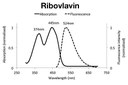 Blue Wavelengths of LED Light Negatively Affect Milk Quality Blue Wavelengths of LED Light Negatively Affect Milk Quality