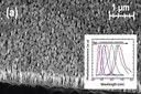 Full-Color InGaN/AlGaN Nanowire Light-Emitting Diodes for SSL and Displays Full-Color InGaN/AlGaN Nanowire Light-Emitting Diodes for SSL and Displays