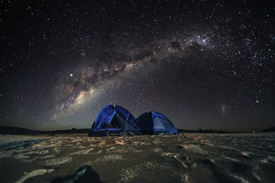 The Adverse Ecological Impacts of Light Pollution: LEDs' Role in Mitigation The Adverse Ecological Impacts of Light Pollution: LEDs' Role in Mitigation