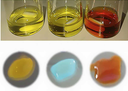 The Perspective of Bio-Hybrid White Light-Emitting Diodes Based on Rubber-Like Down- Converting Coatings The Perspective of Bio-Hybrid White Light-Emitting Diodes Based on Rubber-Like Down- Converting Coatings
